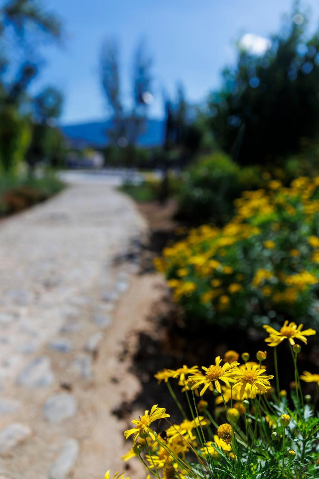 Finca Las Pecas Zambra Kültér fotó
